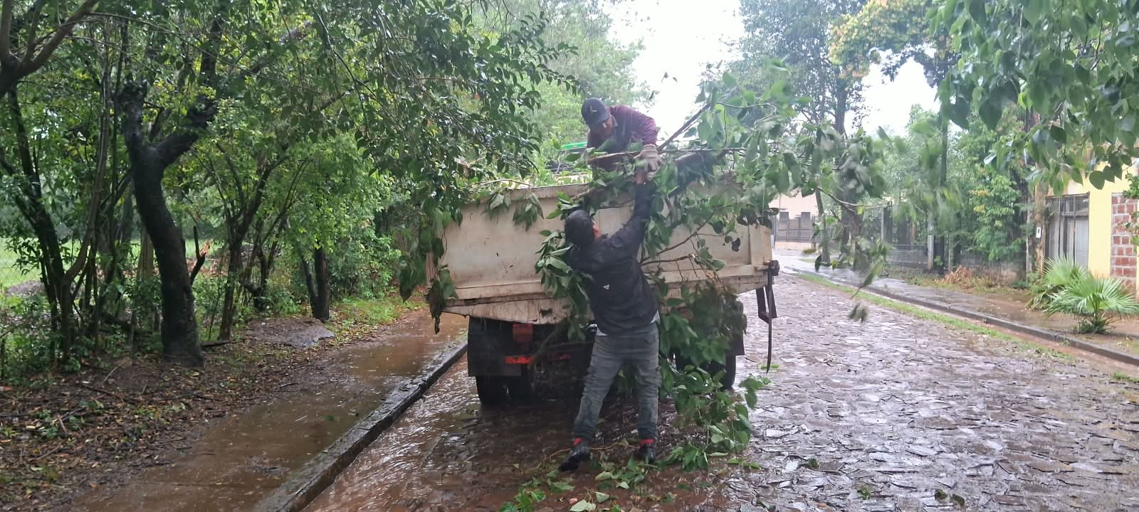 <p>Frente al temporal, el Municipio despliega cuadrillas para despejar calles y relevar daños</p>